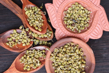 Fresh germinated green gram beans in white background