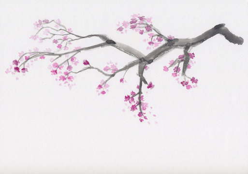 Watercolor painting with Sakura tree branch in bloom. Hand drawn oriental style landscape with spring cherry tree with pink flowers. Concept for decoration, relaxation, restore, meditation background.