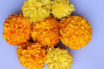 Marigold Flower rangoli Design for Ugadi Festival