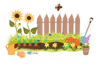 Summer garden illustration with a fence, sunflowers and garden tools. Vector graphics.