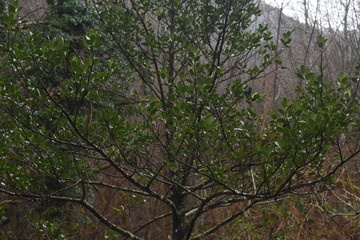 trekkking and outdoor , italian hills