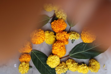 Swastika made using Marigold flowers for Ugadi with Clay Oil Lamp