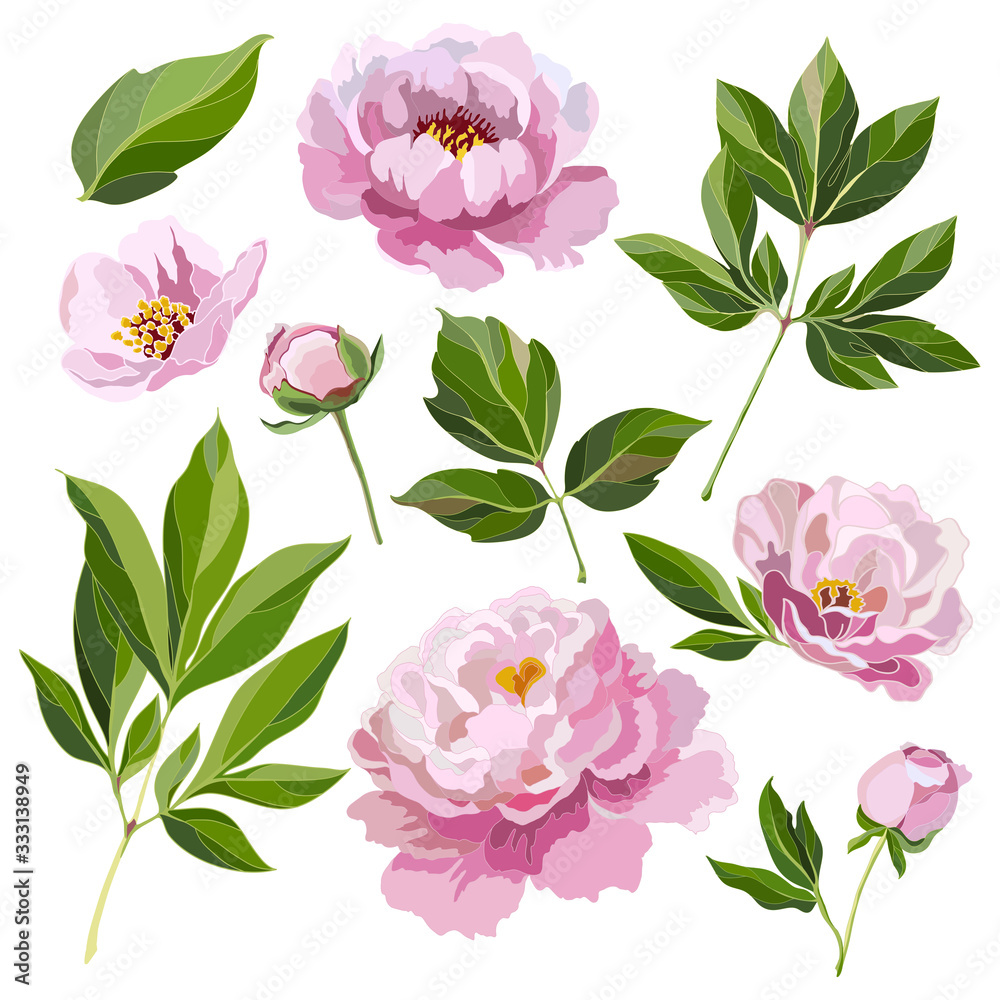 Canvas Prints set pink peonies