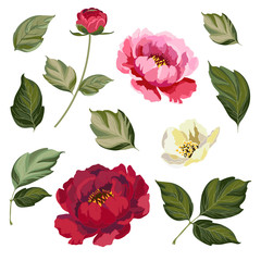 decorative floral elements