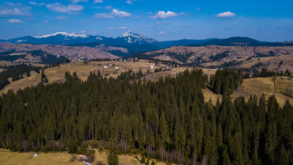 Forest mountains hills coniferous forest on Mount Carpathians Ukraine aerial photography.
