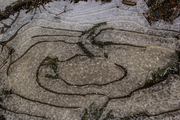 gefrorene Wasserpfütze mit Ästen und moos