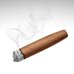 Realistic smoking cigar isolated on white background