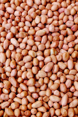 close up of peanut for background                                                                               