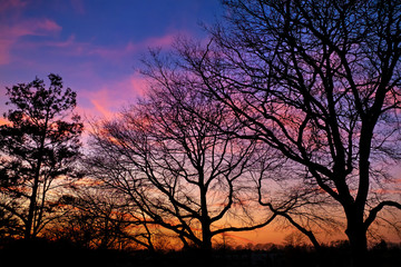 Fototapeta na wymiar A beautiful nature sunset scene 