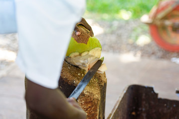 African man cutting a ripe coconut with big knife