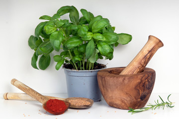 Mortar and pestle with a fresh basil herb plant and spices
