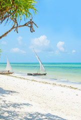 Traditional African solid wood boats under sail on the shore of the Indian ocean with turquoise water on the island of Zanzibar, a concept of travel and summer