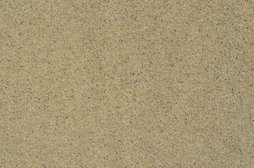 sandy texture or background sand on the beach