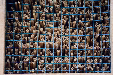 Bienen Wespen, Insekten Hotel - Nisthilfe Tannenbühl Naherholungsgebiet