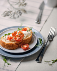 cheese and tomato sandwich