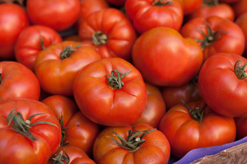 fresh tomatoes on branch in wicker baskets on counter