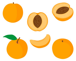 Set of fruit peaches vector illustration slices and slices