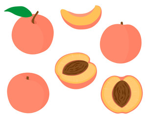 Set of fruit peaches vector illustration slices and slices