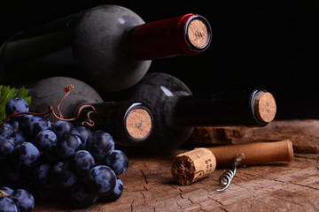 Wine cellar, this year's harvest