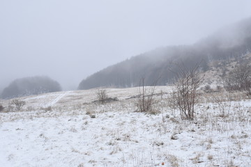 trekkking and outdoor , italian hills