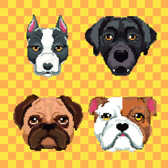 Pixel set dogs portrait detailed isolated vector illustration