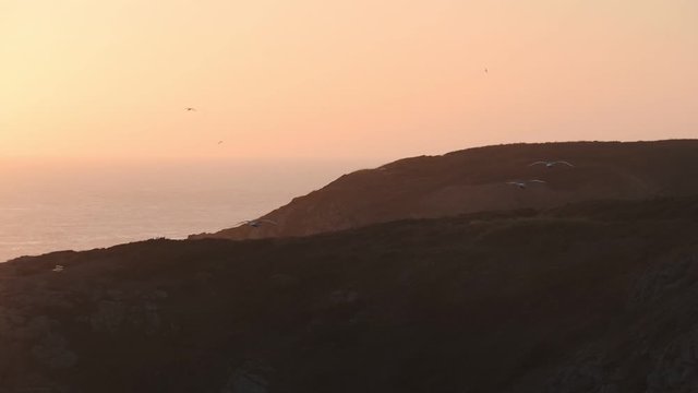 Birds Flying Above The Sark Island Overseeing The Beautiful Sunset Ind The Waters Of English Channel. -wide shot