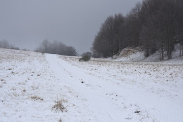 trekkking and outdoor , italian hills