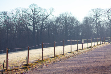 fence in the winter park , grass covered with rime