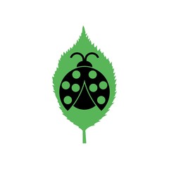 Ladybug on leaf icon isolated on white background