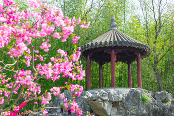 Classical landscape of Guyi garden in Shanghai, China