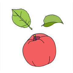 Vector-graphics.Apple.Leaves.Image on a white background.