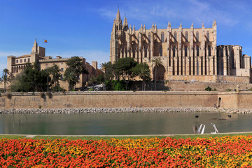 Kathedrale der Heiligen Maria, Palma im Frühling, Insel Mallorca, Spanien, Europa 