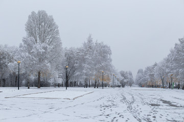 winter Park in the city