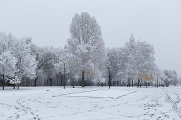 winter Park in the city