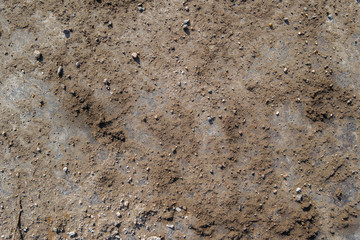 Brown soil background and texture. Brown nature background. Grunge soil. Copy space.