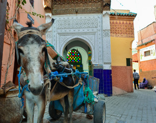 Altstadt (Medina) von Marrakesch