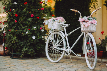 Vintage bicycle with basket with pink flowers. A vintage two-wheeled bicycle with flowers on it. Bicycle with basket full of fresh flowers isolated on green plants.
