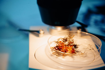 A white electron microscope photographed from above examines a yellow substance. Photo in blue light