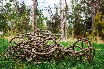 A tourist rope lies on the green grass in the forest