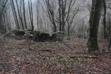 trekkking and outdoor , italian hills