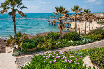 Spring is the only time of the year when the coast of Cyprus, open to the hot sun, blooms with all the colors of the rainbow. In the summer, this Paradise on earth will lose all its charm.      