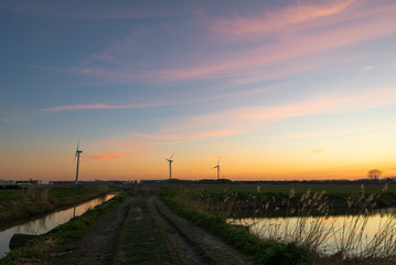Fototapeta na wymiar Country road leading to distant windturbines under a colorful evening sky