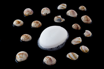Bar of soap and sea shells on black
