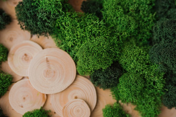 Decorative green moss on wood