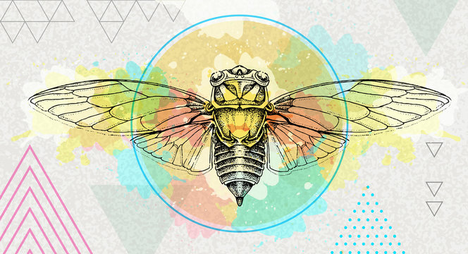 Realistic cicada illustration on artistic polygon watercolor background. Astrology zodiac sign
