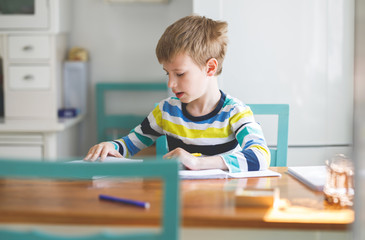 A Boy learning at home