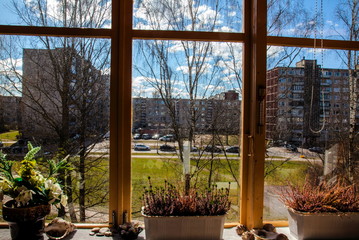 View from balcony window