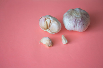 Two garlic bulbs and cloves isolated on soft pink background. Close up of seasonal vegetable. Fresh organic healthy food. Spicy culinary ingredient. Harvesting background with copyspcae