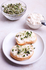 Toasts with cream and radish microgreen