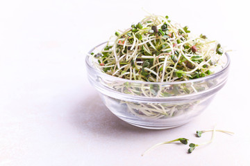 Radish microgreen in a glass bowl